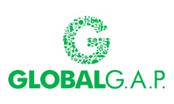GLOBAL GAP
